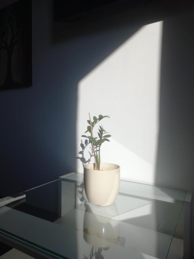 סלוניקי Filippos Downtown - 2Br Lux Apartment - Tsimiski Ladadika - Explore Center By Foot - Close To Aristotelous Square מראה חיצוני תמונה